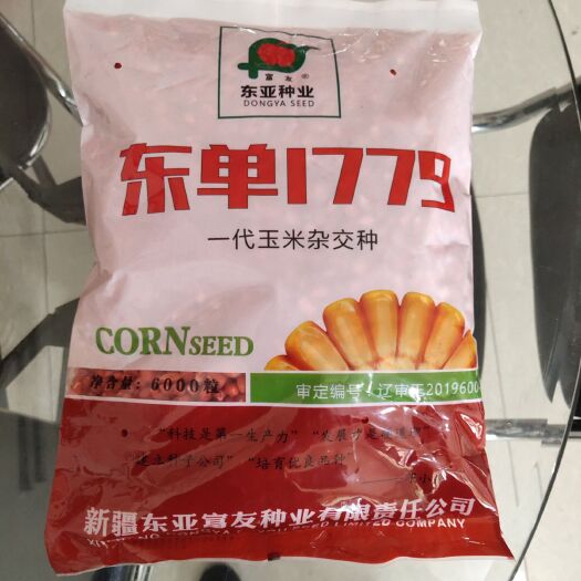 沈阳东单1779 新品上市