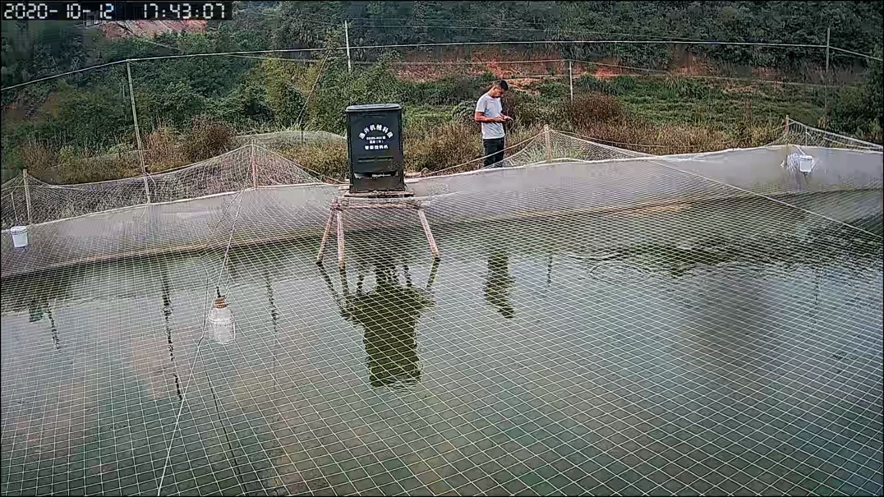 泥鳅10斤包邮 各种规格成品泥鳅
