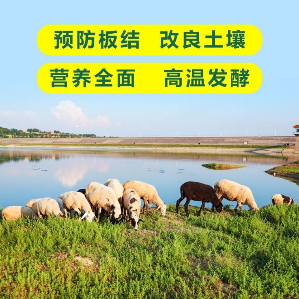 羊粪发酵有机肥腐熟羊粪生物菌园林绿化花肥盆栽肥料天然种菜肥