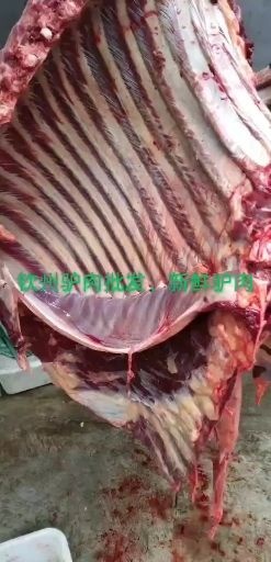 兰陵县鲜驴肉  驴排，驴架子，驴肉批发，