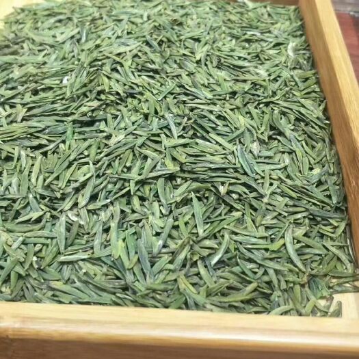 湄潭县湄潭翠芽 1年以下 