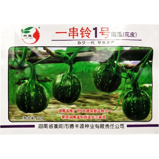 湘乡市南瓜种子批发 花皮一串1号南瓜种子 早熟抗病