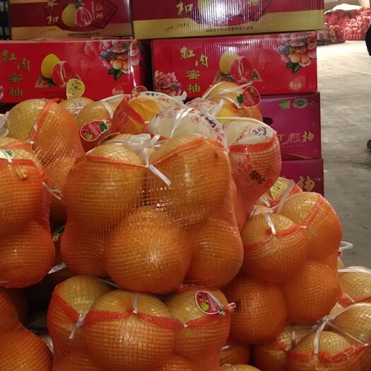 聊城红心柚 特级果 