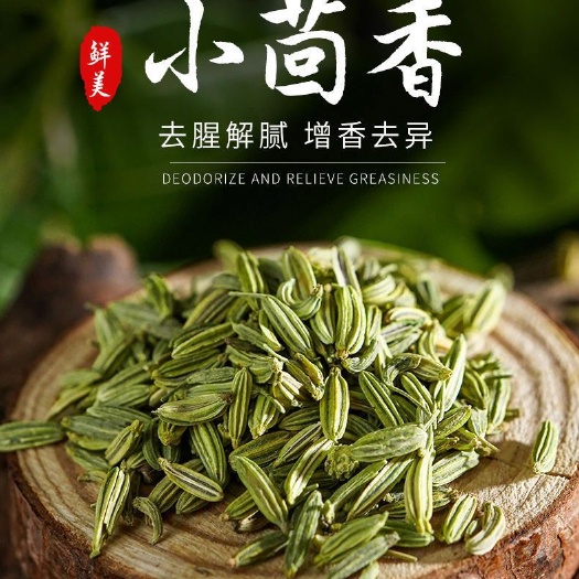 茴香 特绿小茴香籽 精选调料火锅底料 甘肃 印尼批发