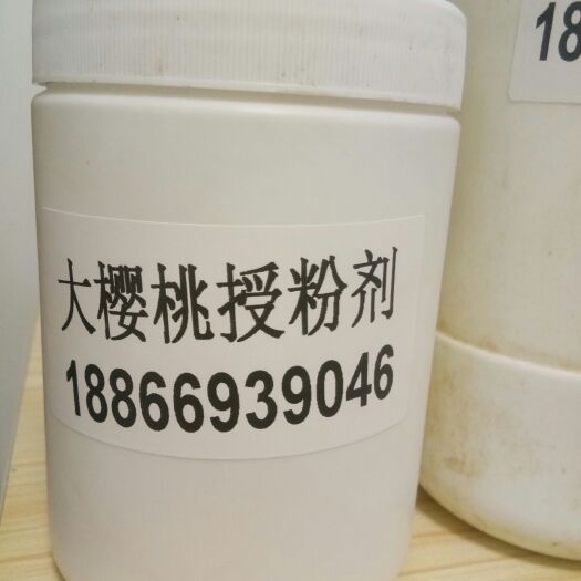 活性花粉  美早大樱桃（车厘子）授粉药、坐果剂、花粉