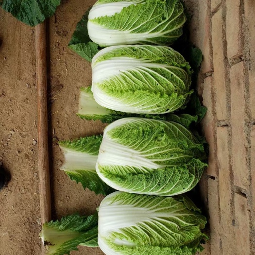 黄心大白菜  玲珑黄白菜  玲珑黄
