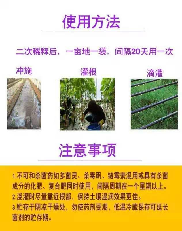 微生物菌劑。淡紫擬青霉