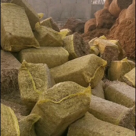 阜城县 揉丝除尘玉米秸秆干草块