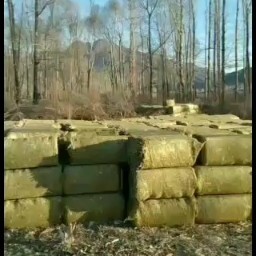 平泉市无土无膜玉米秸秆草块