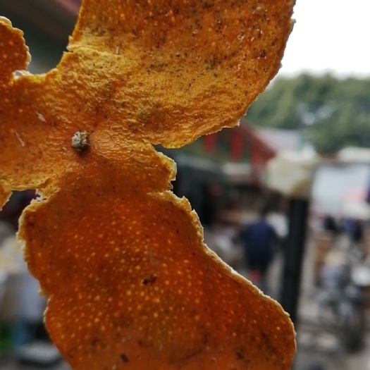 广州三花陈皮  三花红片 货靓 价格实惠