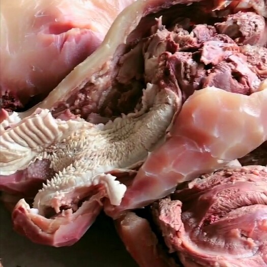 海城市羊头肉