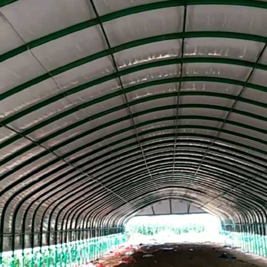 蚌埠养殖大棚 专业搭建鸡.鸭.猪.牛.羊各类养殖棚    8-20米宽