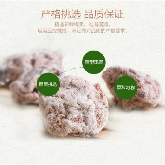 诏安县白话梅500g变态咸话梅广式话梅泡茶泡红酒梅子白话梅干特咸
