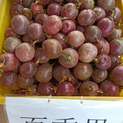 翁源县紫香一号百香果  紫香百香果