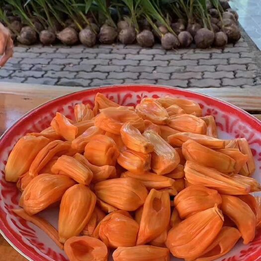 灵山县红肉菠萝蜜苗  泰国红皮菠萝蜜苗，嫁接苗。
