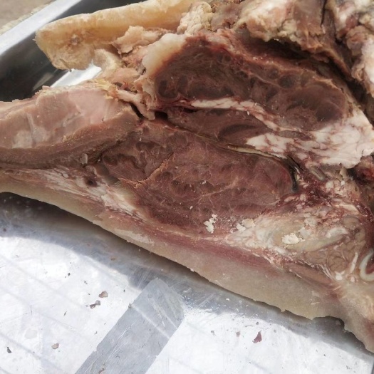惠民县全熟大公牛牛头肉，天然食品，凉拌，煲汤随便吃