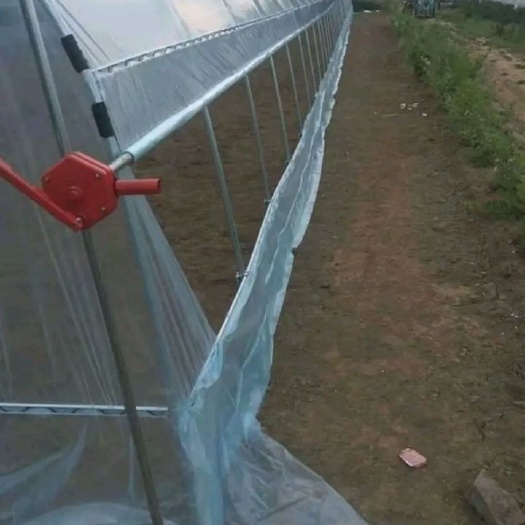 沭阳县钢管大棚  种植棚养植棚果蔬大棚水产棚