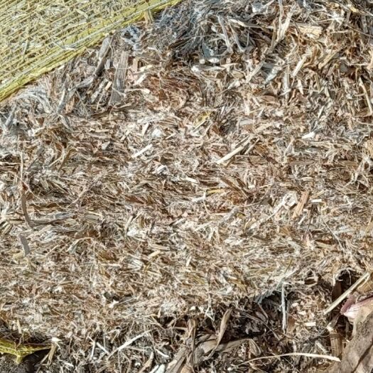洮南市秸秆类饲料 玉米秸秆草捆，无土无膜