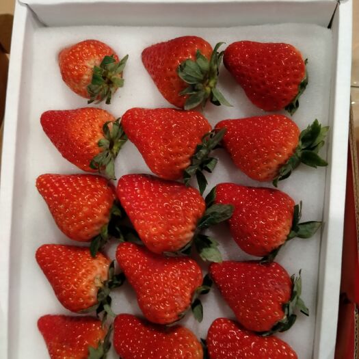 爱莎草莓草莓爱沙