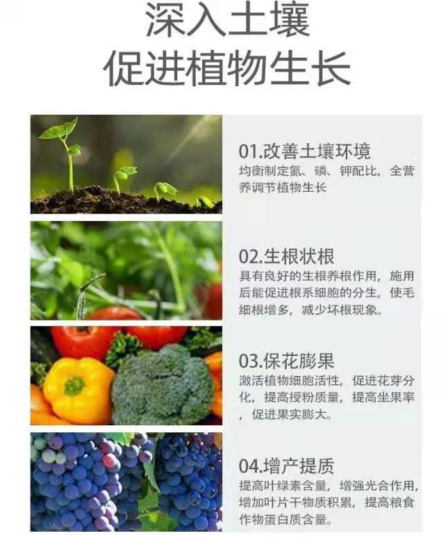 微生物菌劑。淡紫擬青霉