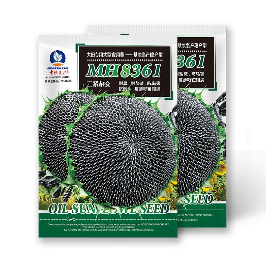 夏邑县MH8361向日葵种子，食葵专用，皮薄籽粒饱满，香甜可口