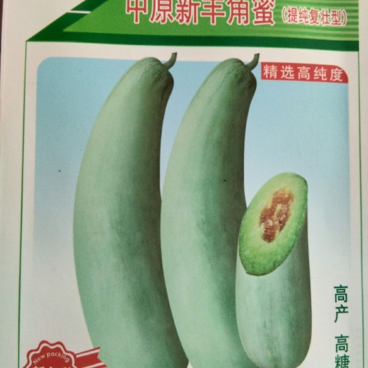 扶沟县羊角酥甜瓜种子  薄皮甜瓜类型，精选高纯度，高产，高糖。单株结瓜3～6个