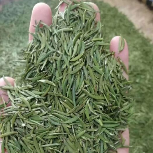 松桃县高山绿茶 贵州梵净山翠峰