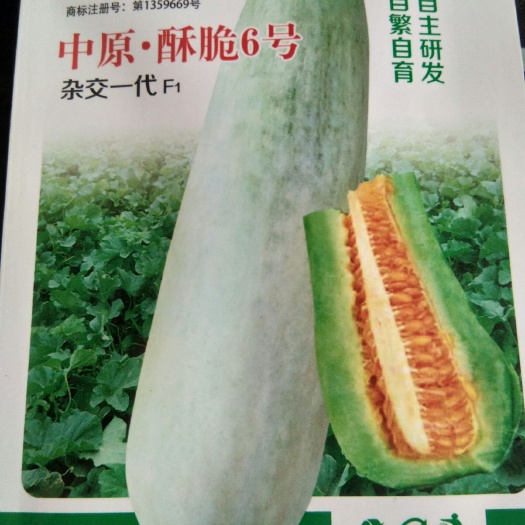 扶沟县羊角酥甜瓜种子  肉厚、质脆、高糖、瓜大高产，薄皮甜类型，抗病性强糖度高肉厚、