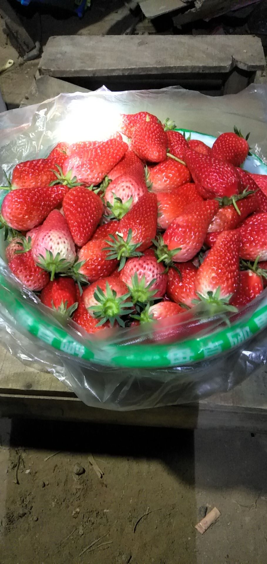 平度市甜宝草莓上市了，欢迎对接市场的老板实地考察合作，提供配货专线
