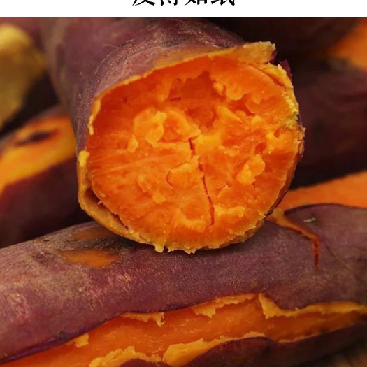 寿光市红薯红心蜜薯烟薯25号一件代发