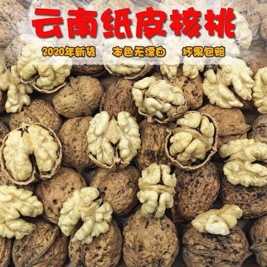 元江县云南新鲜纸皮核桃新货薄皮核桃5斤包邮果园直发核桃批发