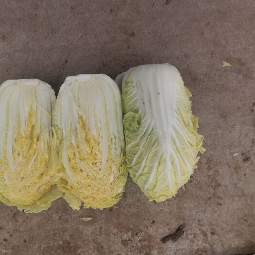 新野县娃娃菜，河南娃娃菜