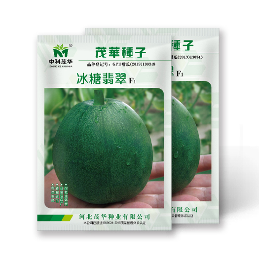 夏邑县冰糖翡翠绿宝甜瓜种子，