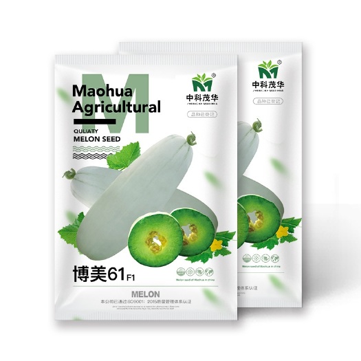 夏邑县羊角蜜甜瓜种子  博美61甜瓜种子，灰白皮黄绿肉橘瓤，肉厚腔