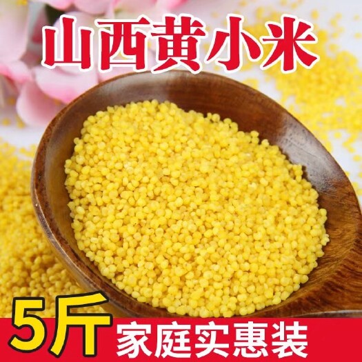 定襄县产地直供一件代发包邮新米黄小米去壳小米孕妇米OEM一件代发