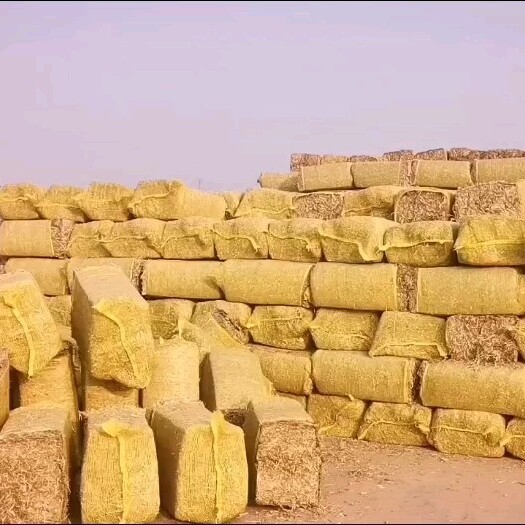 阜城县 揉丝除尘玉米秸秆干草块