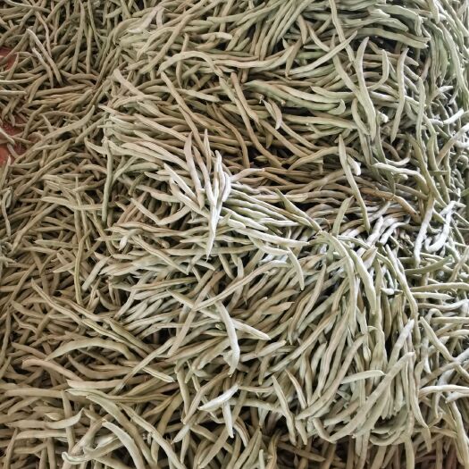 白珍珠四季豆 精品四季豆