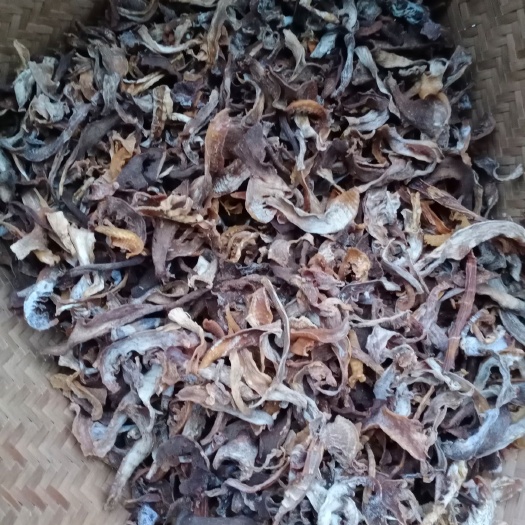 池州春笋 干竹笋笋干