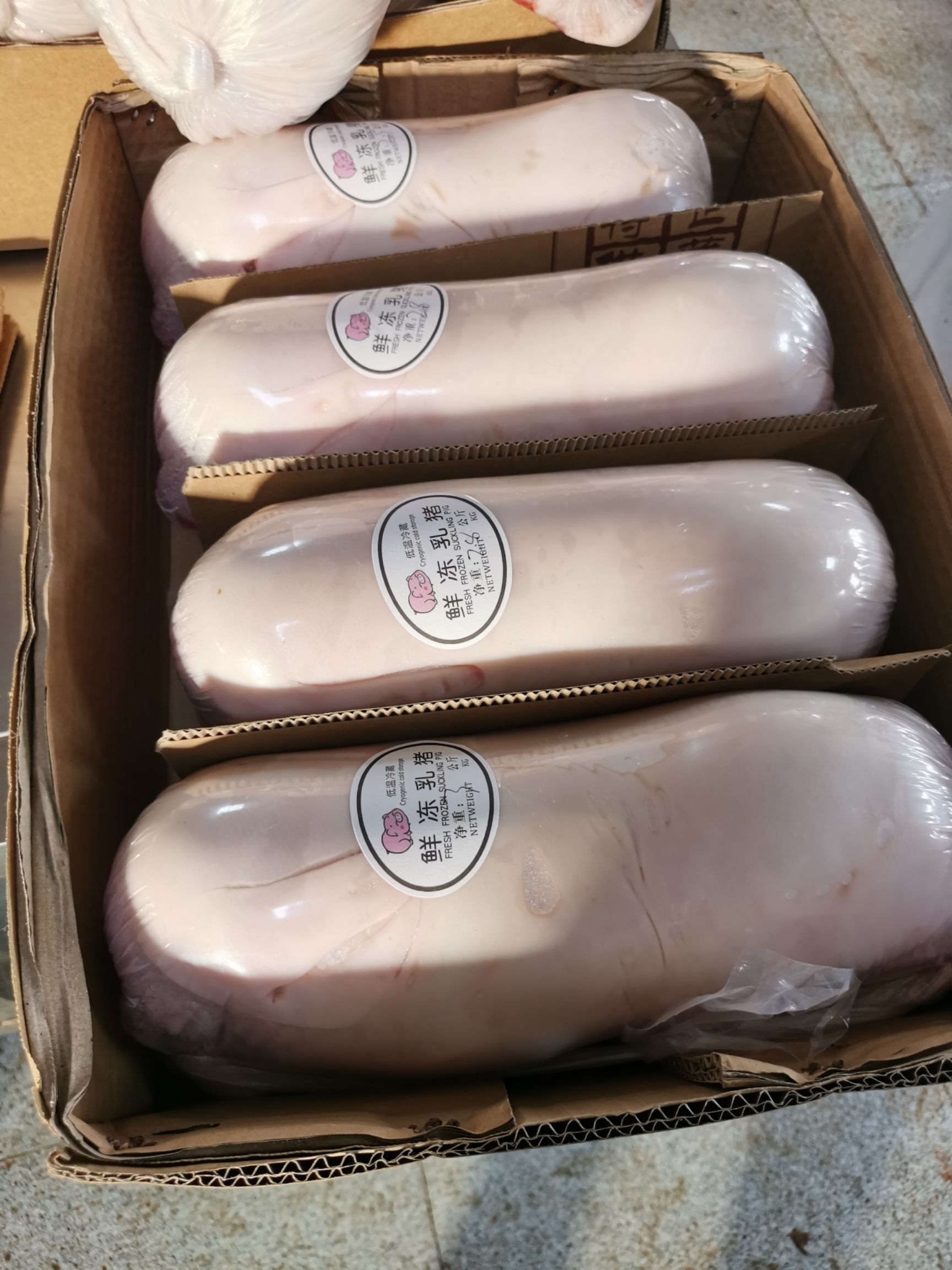 整头猪  冻乳猪，烤乳猪，可从惠农网下单的冻乳猪