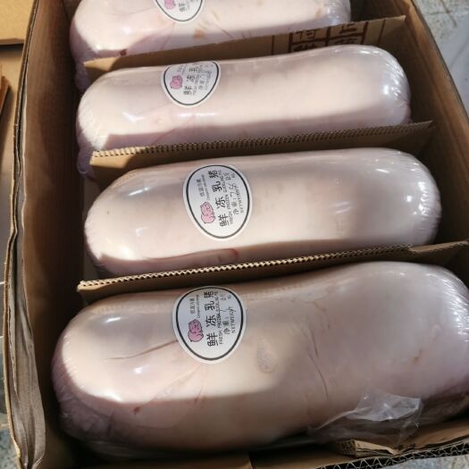 整头猪  冻乳猪，烤乳猪，可从惠农网下单的冻乳猪