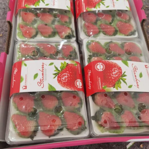 徐州妙香草莓 果型好口感佳我们只做精品