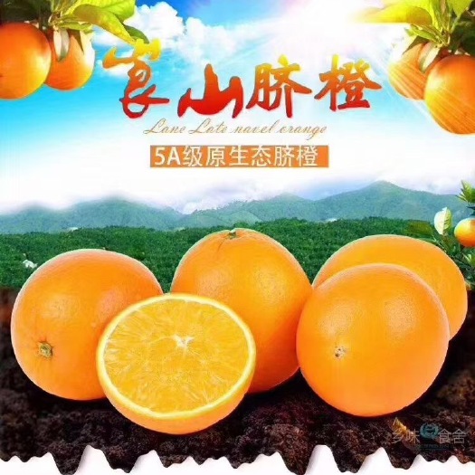 新宁县自家果园，湖南崀山脐橙，现摘现发，保证新鲜