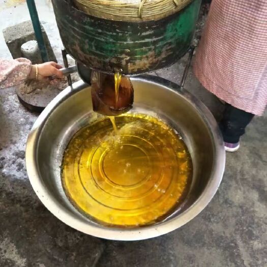 巴马县 世界长寿之乡巴马，山茶油，养生油