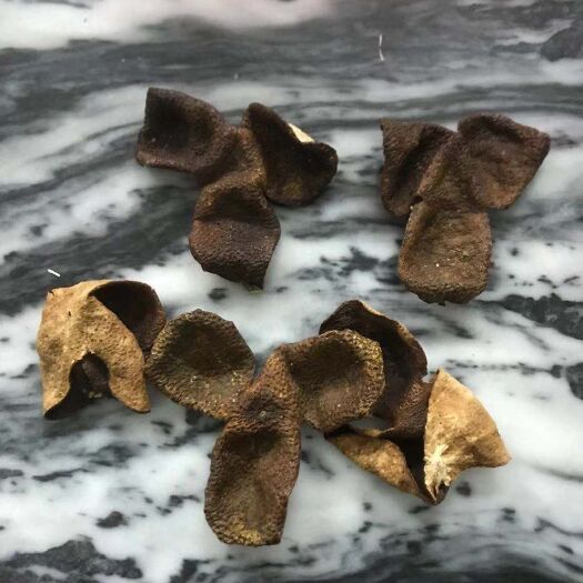 江门陈皮  正宗，一线核心产区圈枝柑果生晒