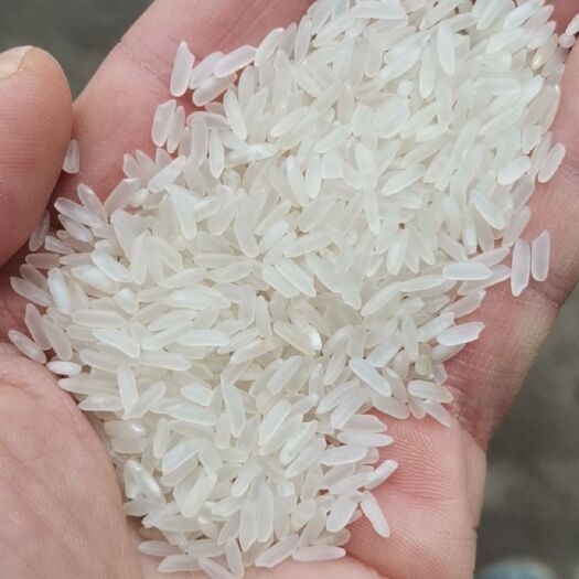 仙桃市黄花粘 湖北省仙桃市仙桃市 籼米 一等品 晚稻