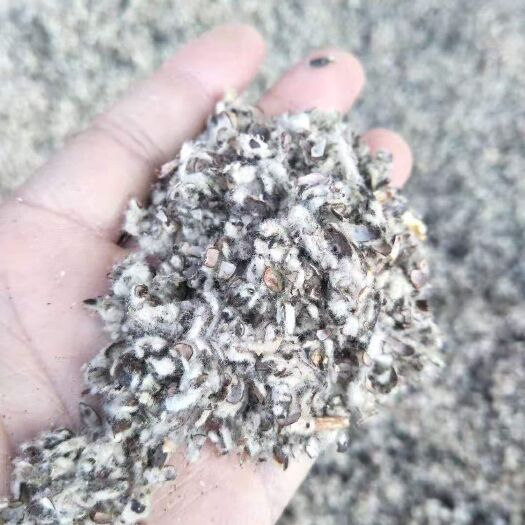 沙雅县棉籽壳  价格可议