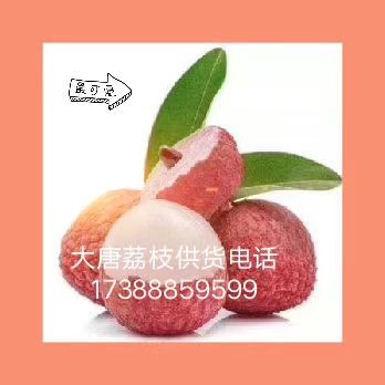 高州市荔枝 妃子笑因杨贵妃美名中华红因前国家领导手植得名。