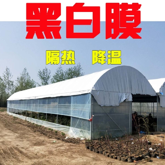 郯城县黑白膜养殖大棚膜防水塑料食用菌膜防晒遮光隔热反光加厚膜