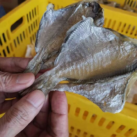 北海鲳鱼干 风干淡干南鲳鱼片
