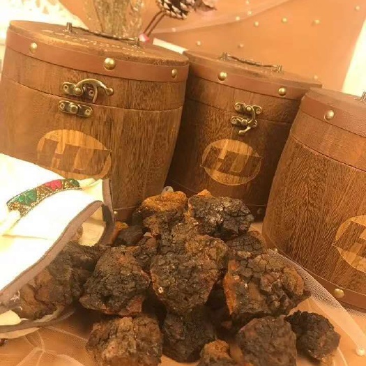 哈尔滨俄罗斯桦树茸